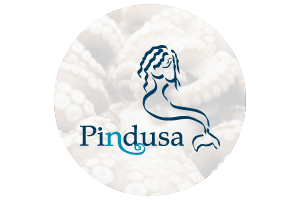 Logo Pindusa
